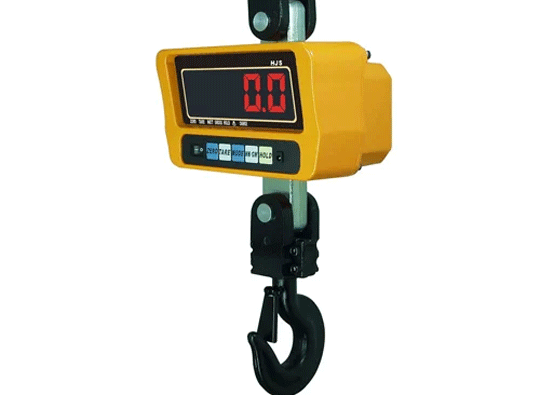 Electronic Crane Scale